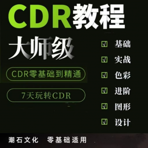 cdr教程视频Coreldraw自学平面设计广告排版零基础入门学习课程-淘宝虚拟仓