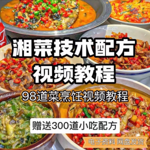 【0.01秒发】98道湘菜技术配方视频教程商用湖南菜炒菜特色小吃-淘宝虚拟仓