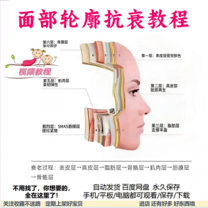 美商课程面部轮廓抗衰美肤减龄变美视频教程形象管理内在美好气色-淘宝虚拟仓