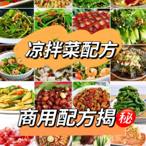 摆地摊街边特色自选拌凉菜小菜制作小吃技术配方教程培训视频教学-淘宝虚拟仓