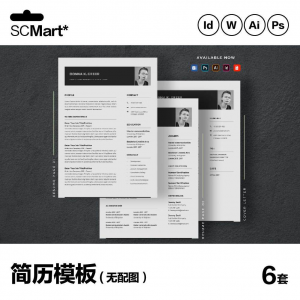 6套高级英文简历Word简历 ai psd设计师简历模板毕业生简历CV29-淘宝虚拟仓