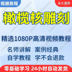 橄榄核雕刻视频学习教程新手自学零基础入门精通教学课程全集-淘宝虚拟仓